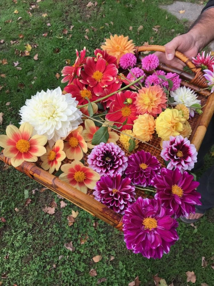 A wooden box with a beautiful arrangement of orange, yellow, and purple flowers